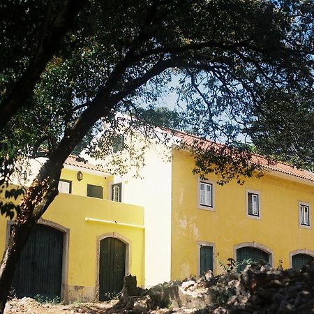 The Five House Sintra Exterior photo